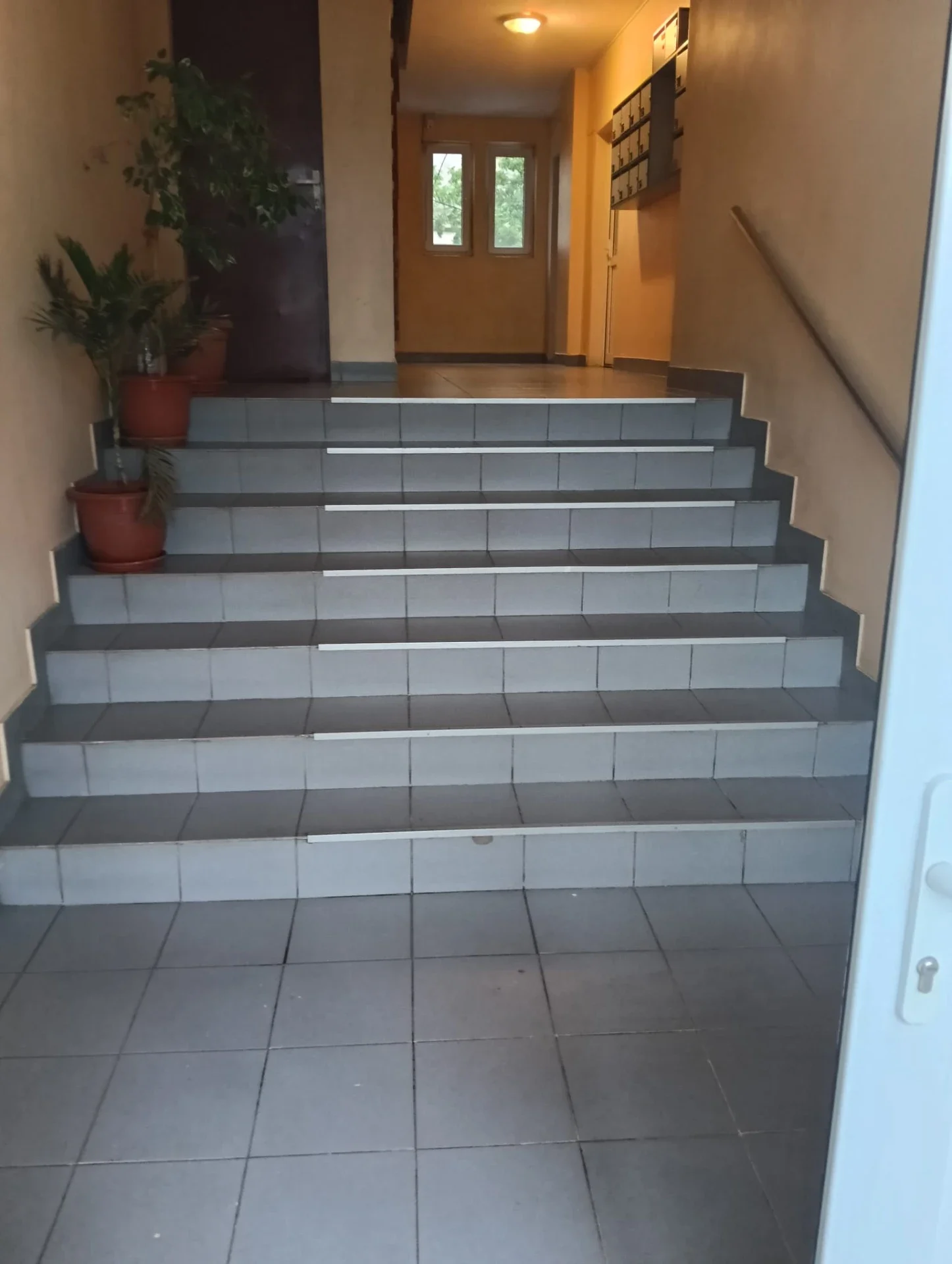 Casa scării a unui bloc întreținută de Mopul Zâmbitor